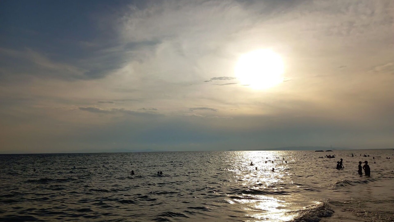 Photo of Others in Follonica