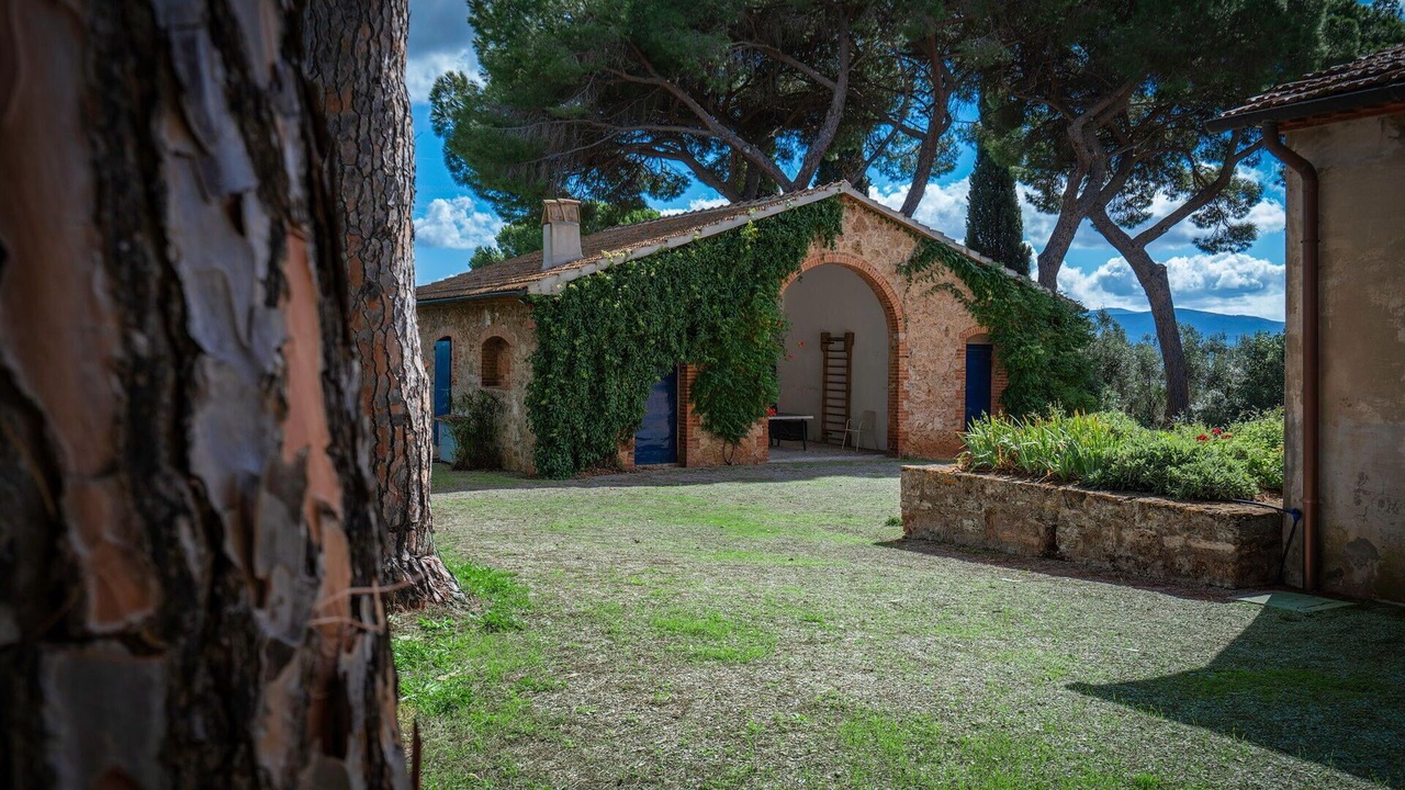 Photo of Outdoor in Follonica