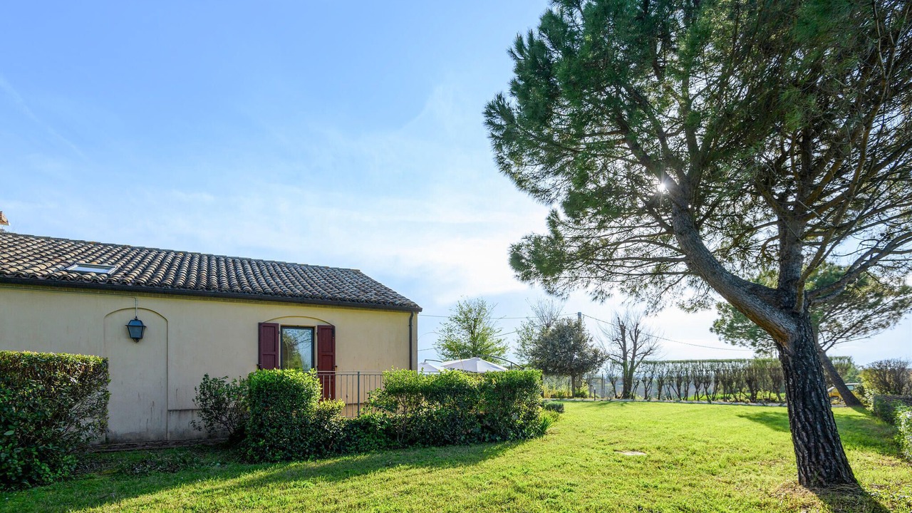 Photo of Others in Montemarciano