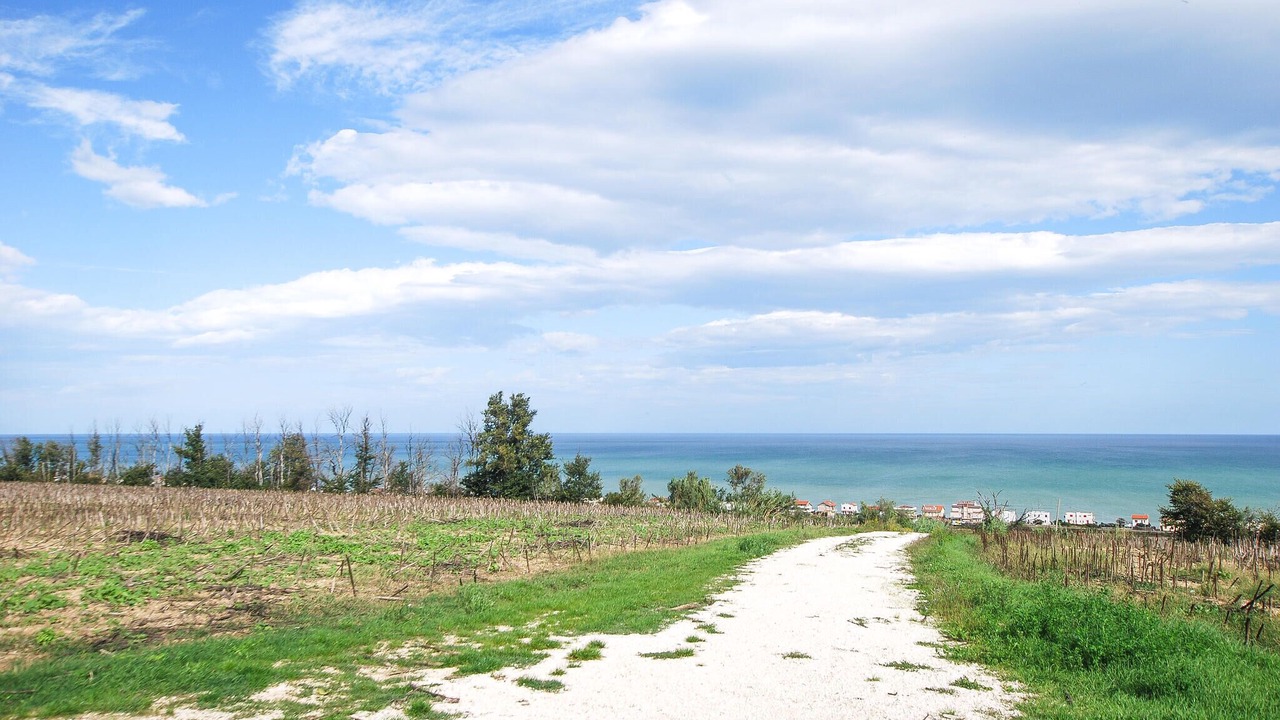 Photo of Others in Montemarciano