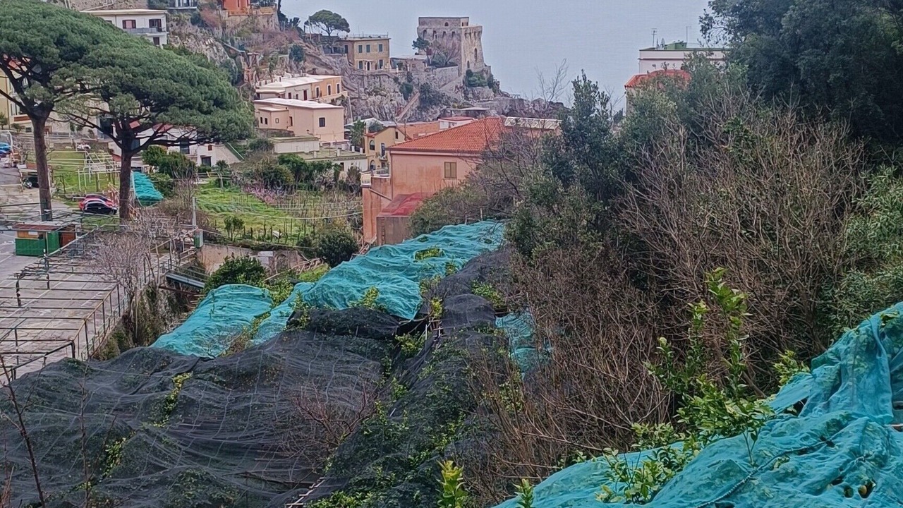 Photo of Others in Erchie