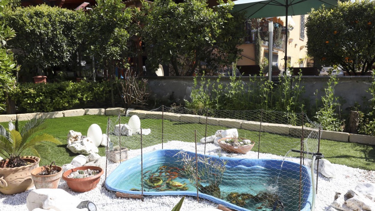 Photo of Outdoor in San Giorgio a Cremano