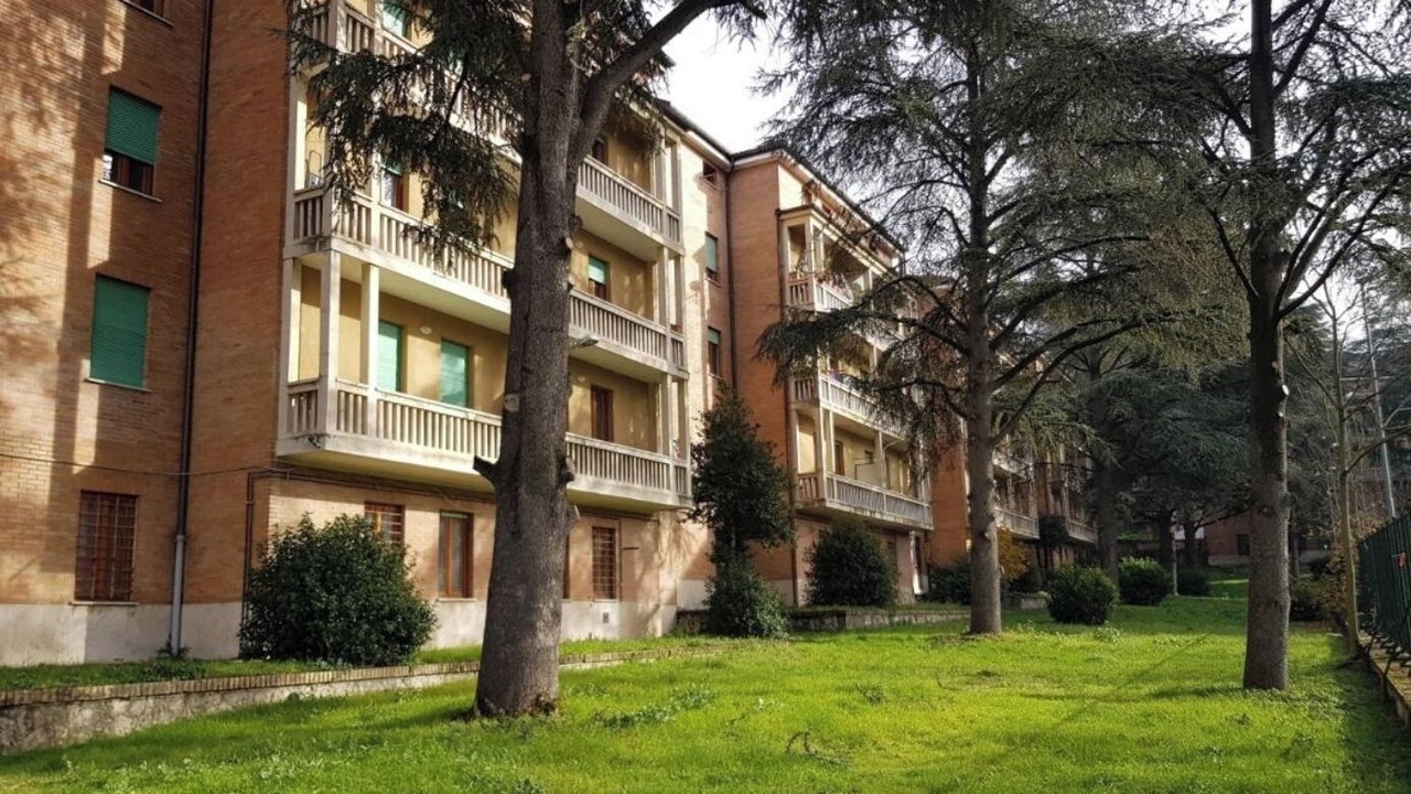 Photo of Others in L'Aquila