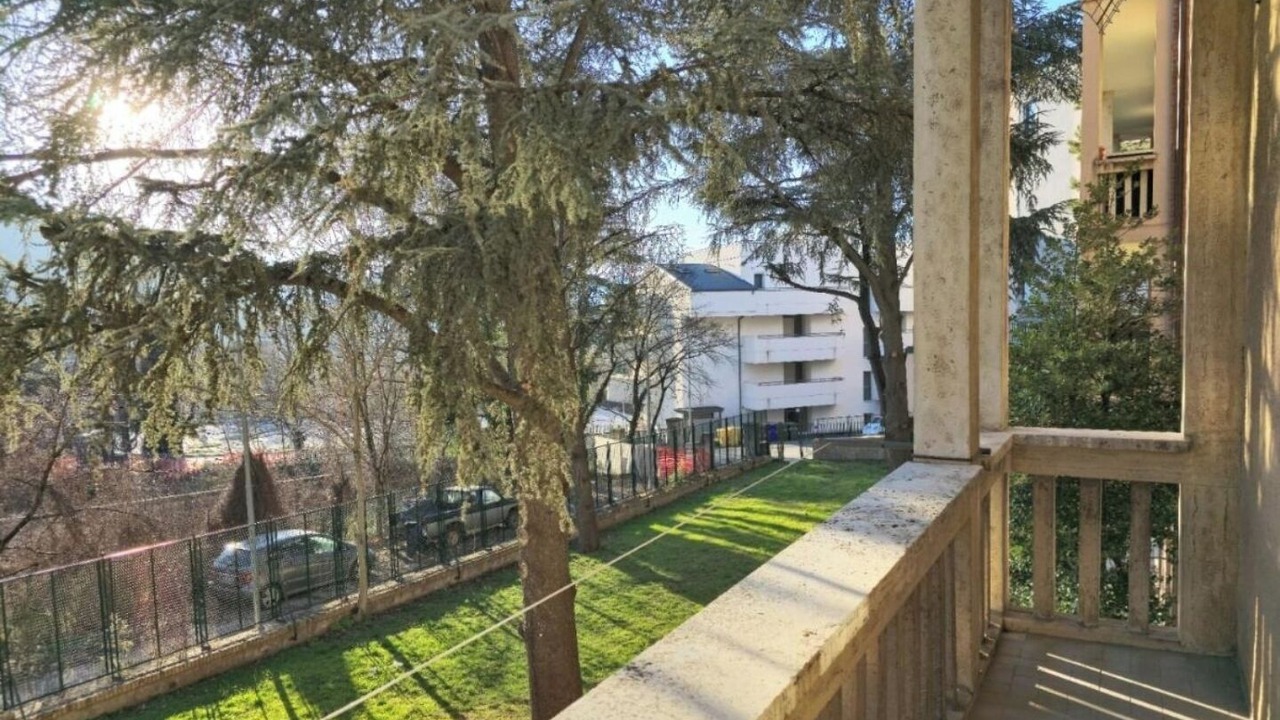 Photo of Others in L'Aquila