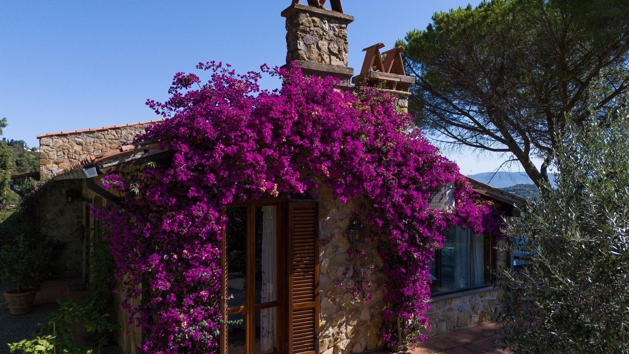 Photo of Outdoor in Porto Ercole