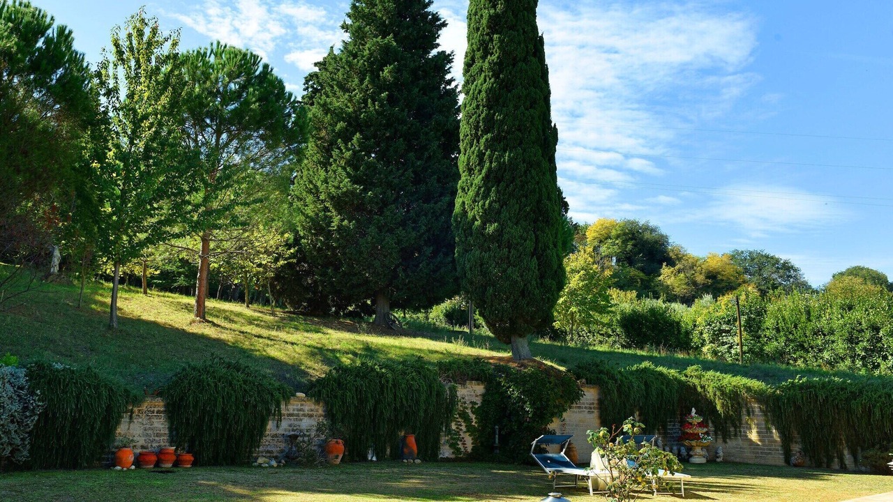 Photo of Outdoor in Montecosaro