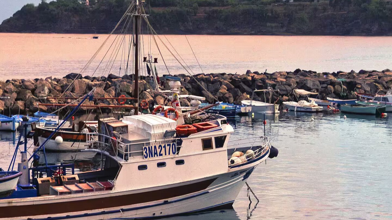 Photo of Others in Procida