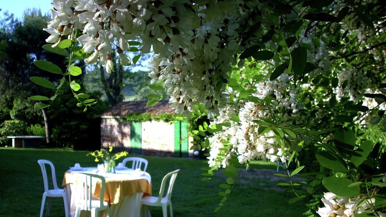 Photo of Outdoor in Montemaggiore al Metauro