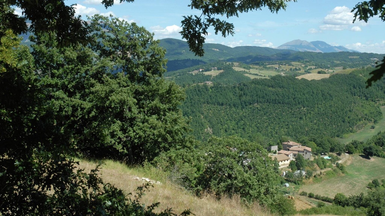 Photo of Others in Apecchio