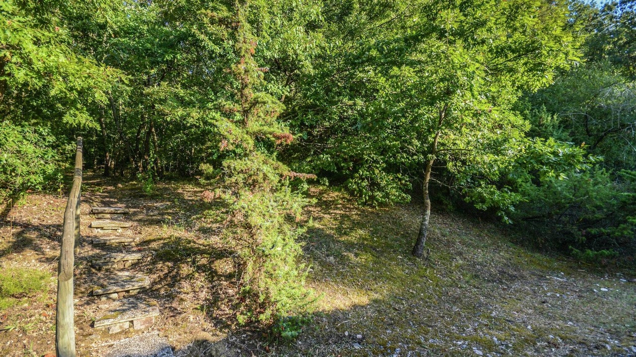 Photo of Outdoor in San Savino