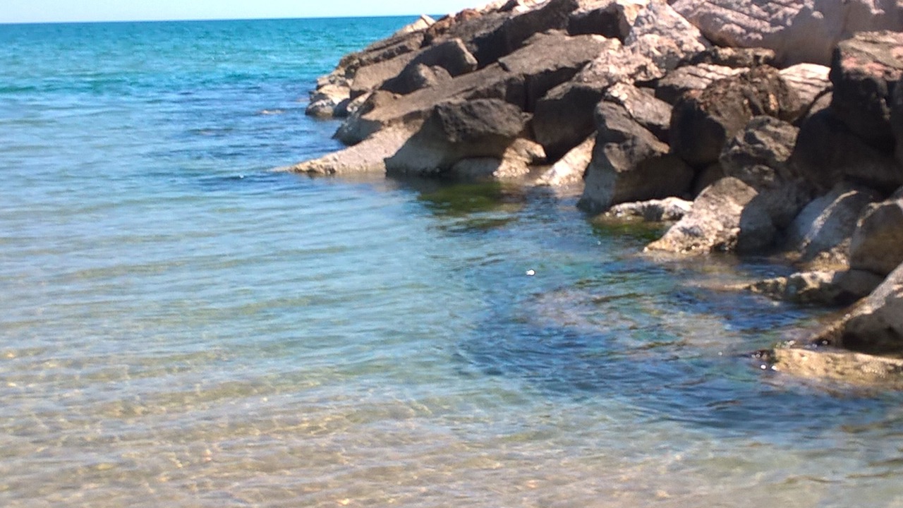 Photo of Others in Campomarino