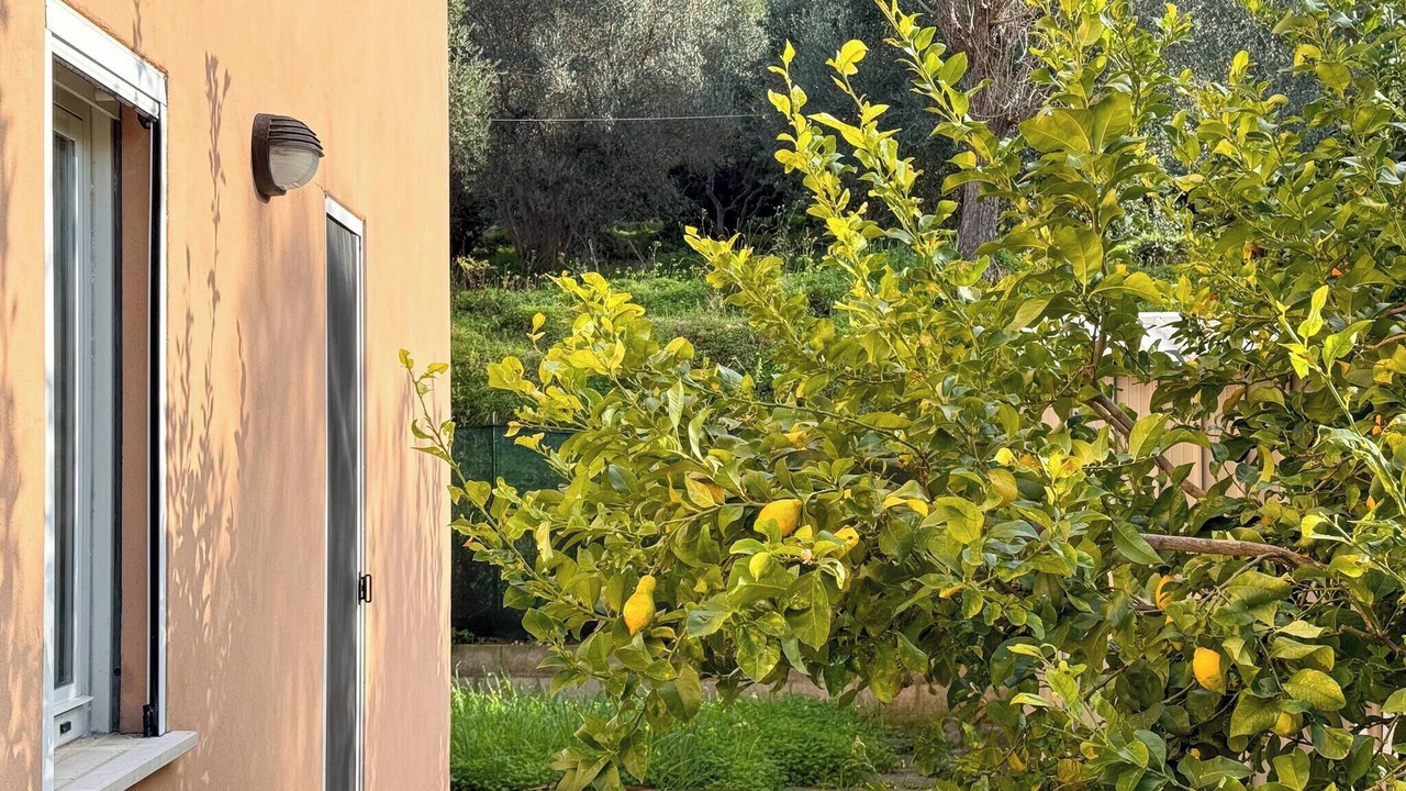 Photo of Outdoor in San Vito Chietino