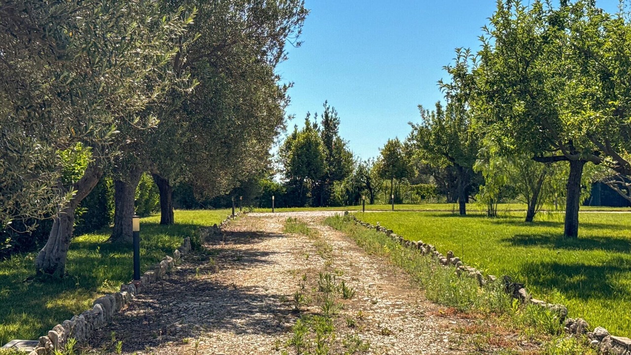 Photo of Others in Ortona