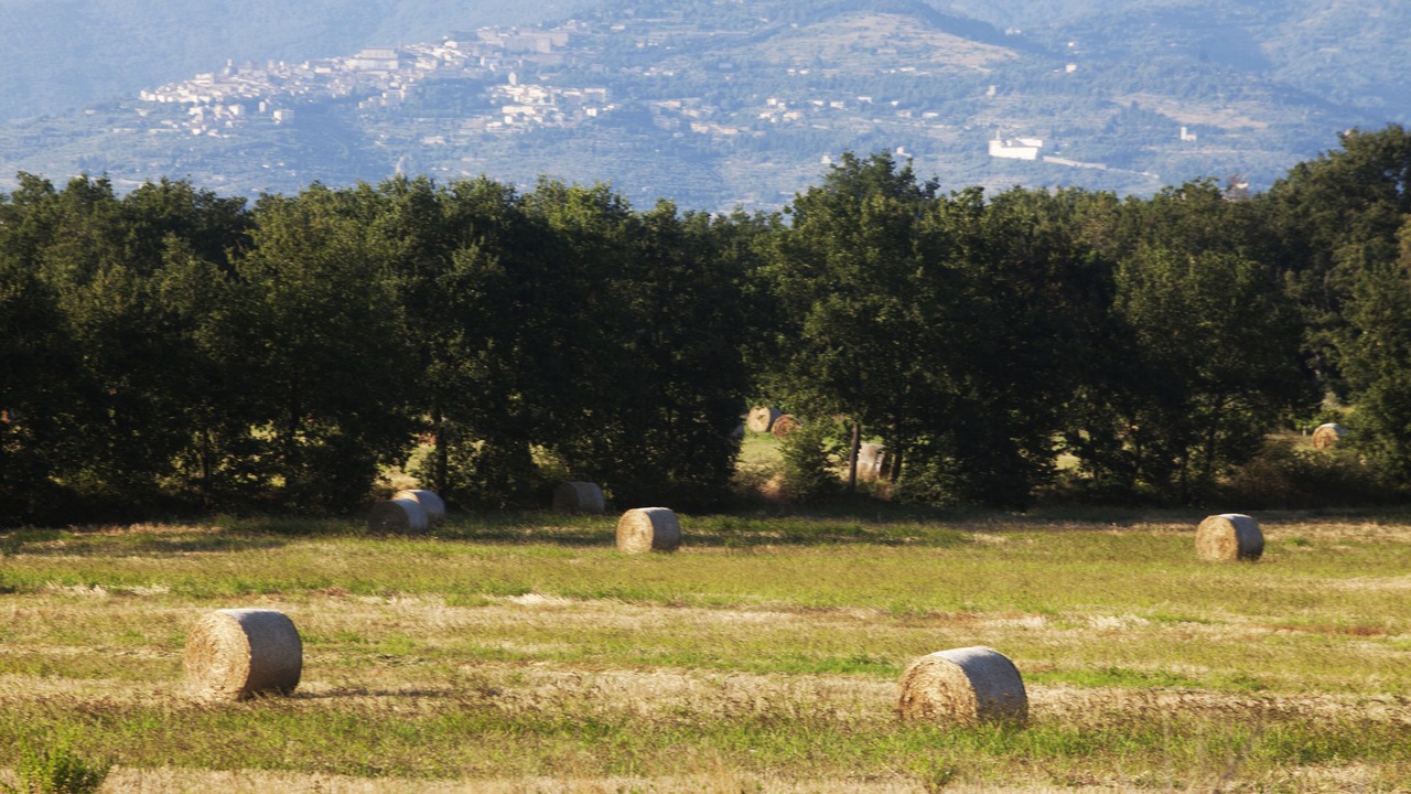 Photo of Others in Ferretto