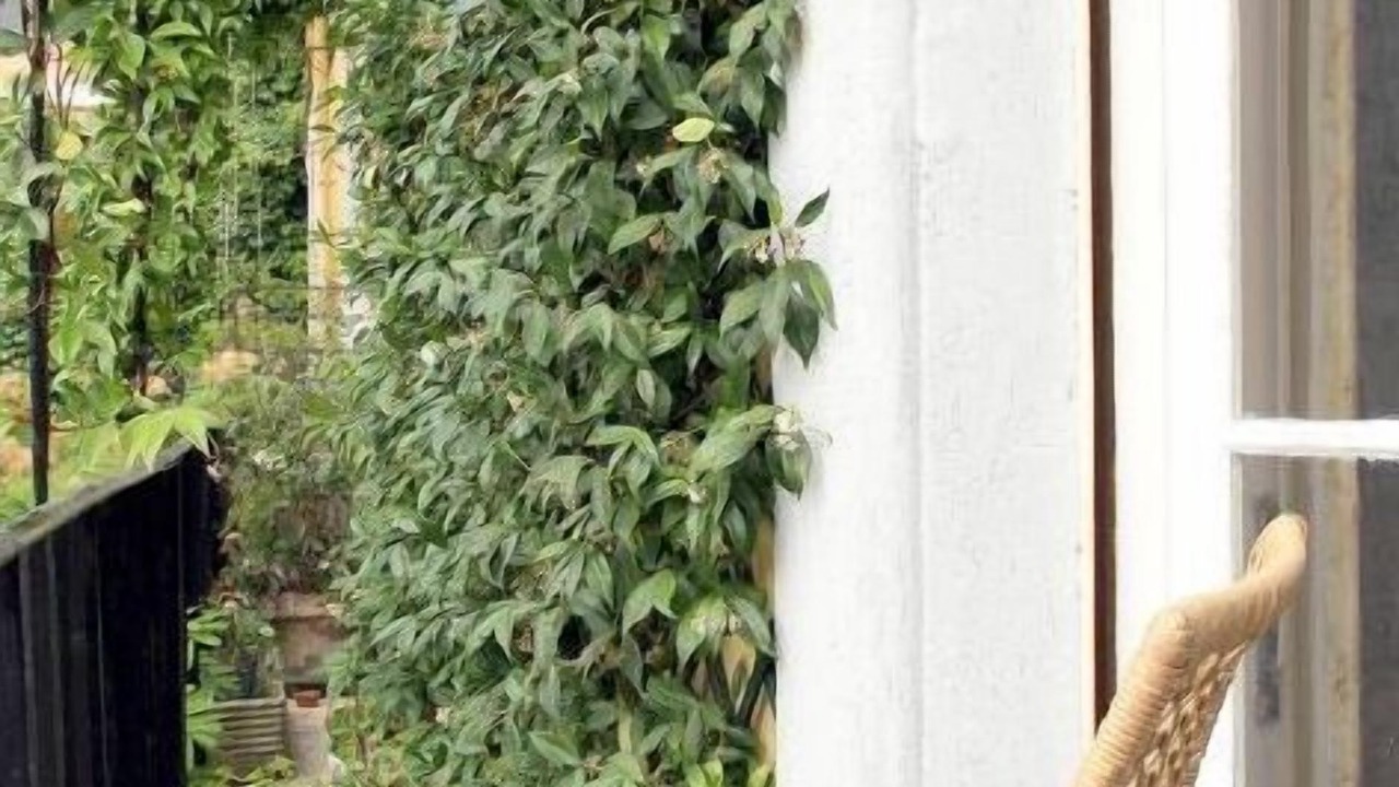 Photo of Patio Balcony in Rione IV Campo Marzio