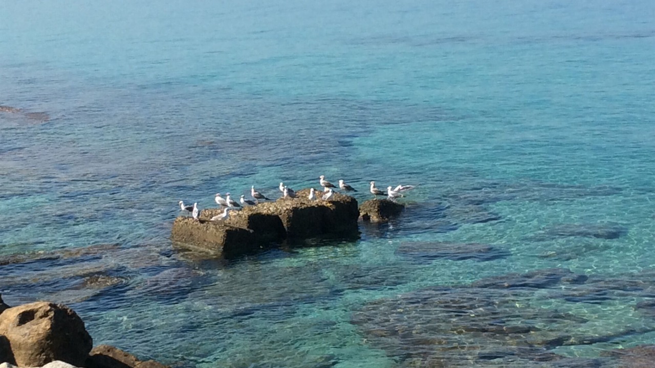Photo of Others in Pizzo