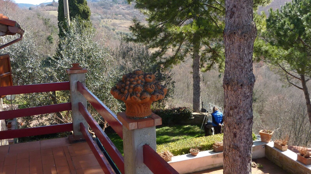 Photo of Outdoor in Rufina