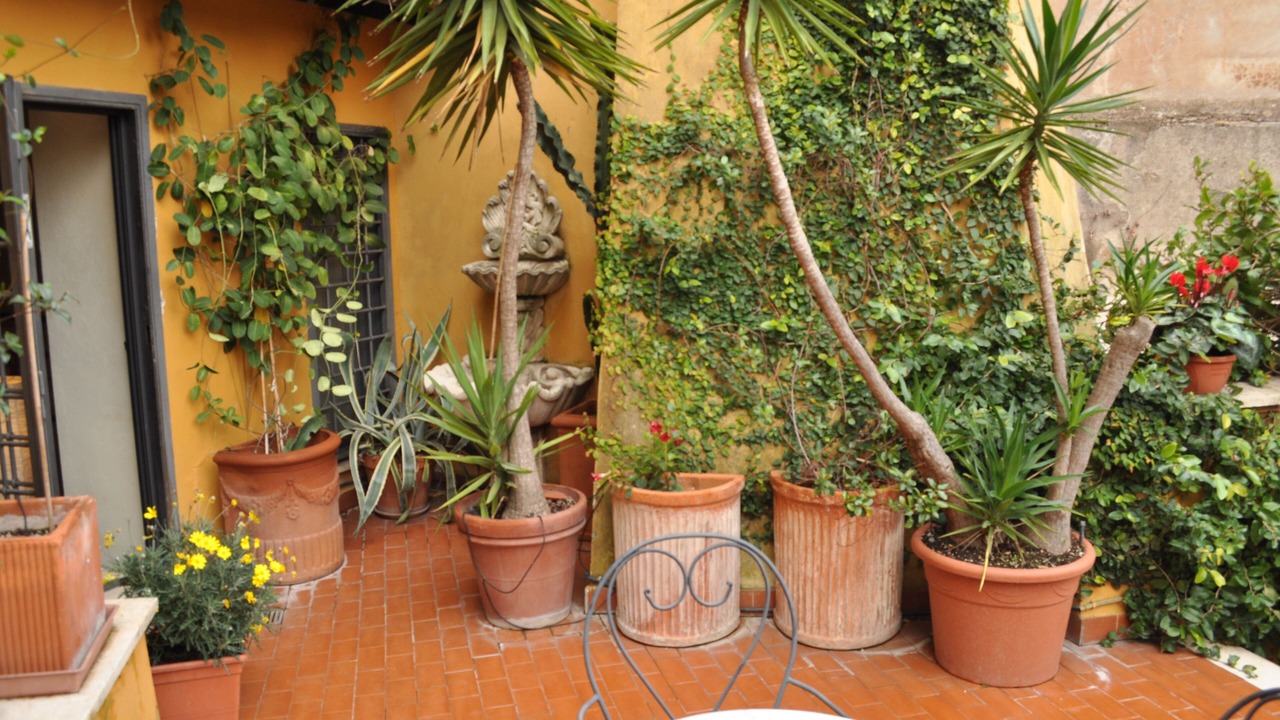 Photo of Others in Trastevere