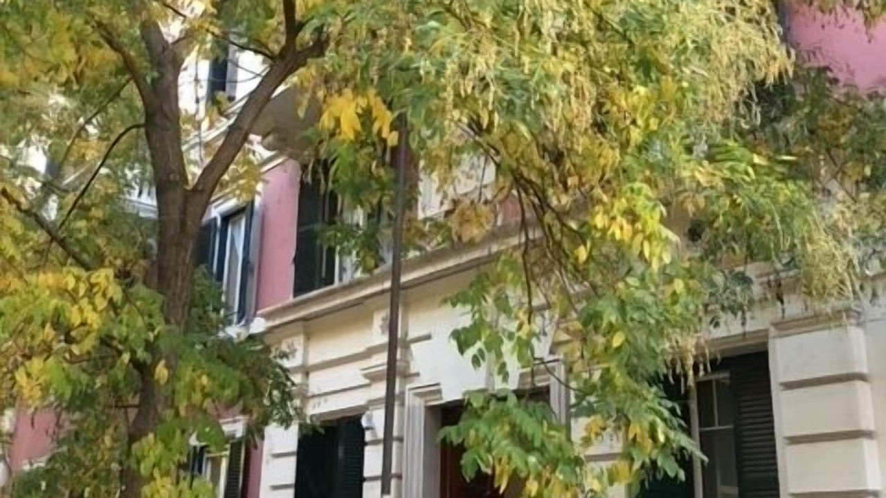 Photo of Outdoor in Vatican