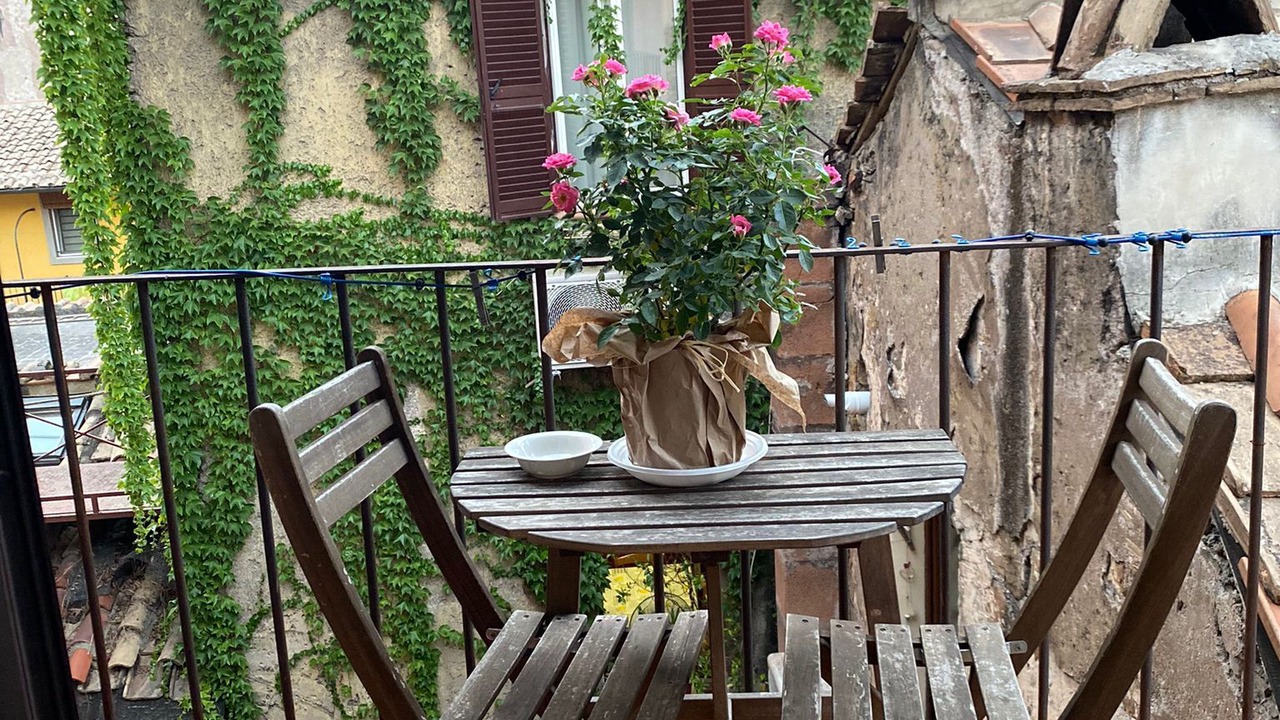 Photo of Outdoor in Rione VII Regola