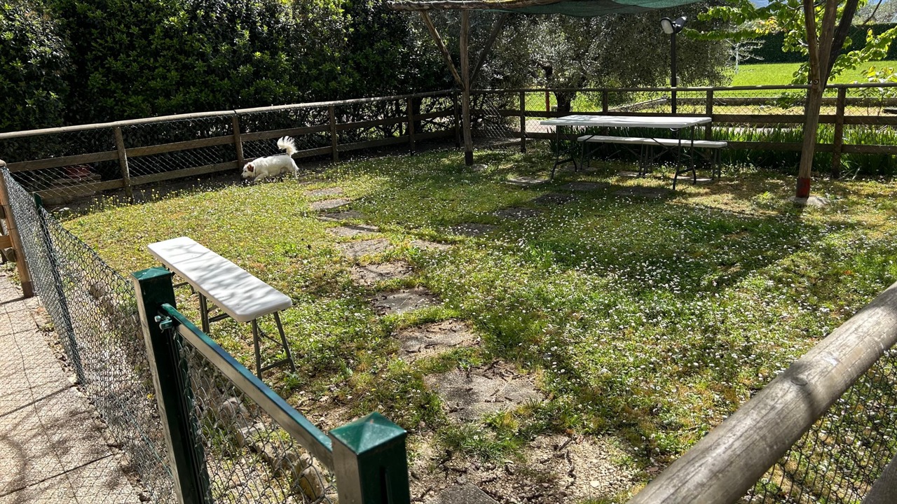 Photo of Outdoor in Santa Maria degli Angeli
