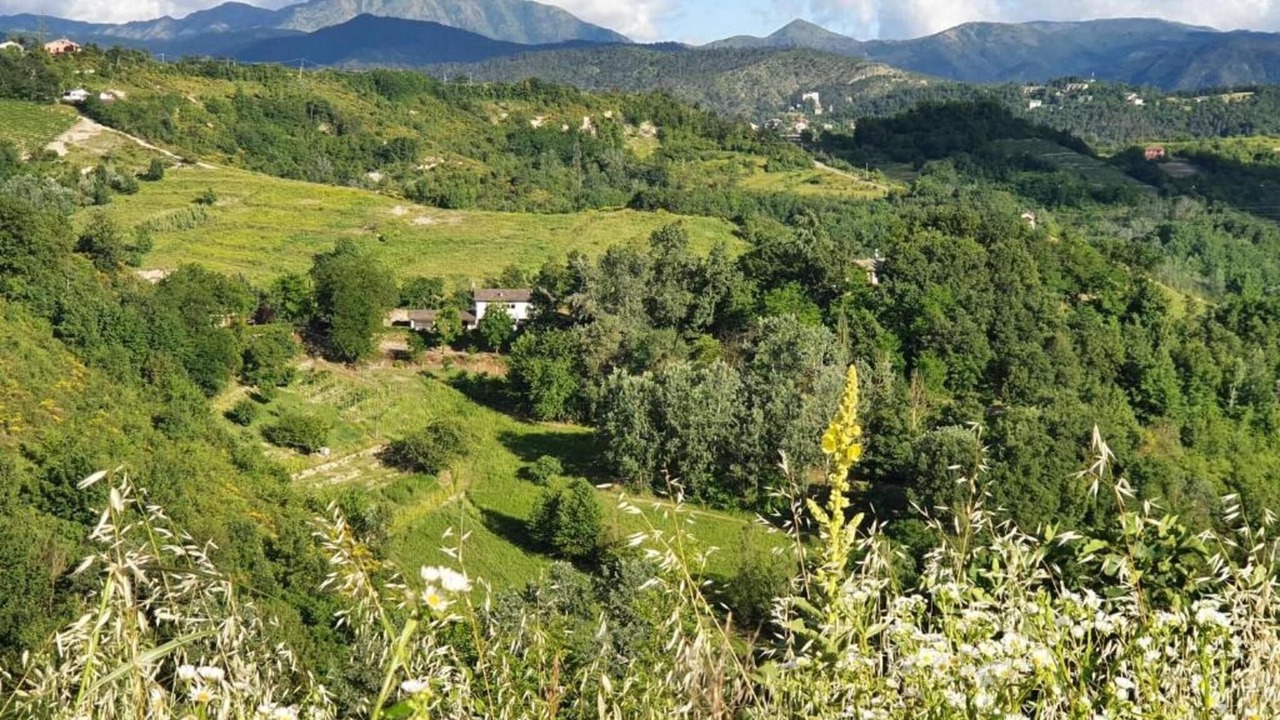 Photo of Others in Saint-remy-de-provence