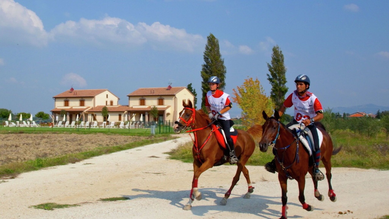 Photo of Others in Cannara