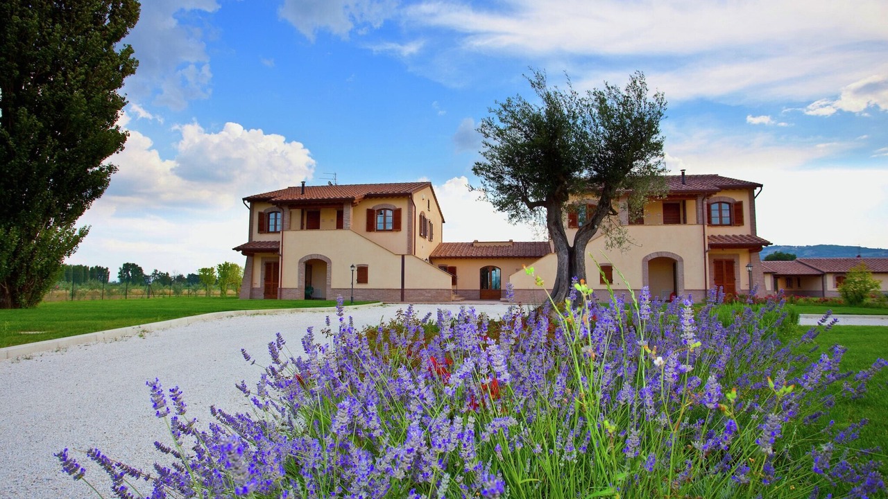 Photo of Outdoor in Cannara
