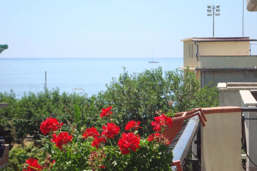 Photo of Others in Porto Salvo