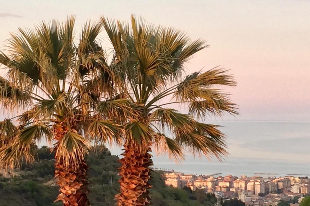 Photo of Others in San Benedetto del Tronto