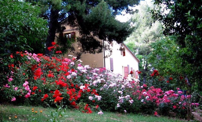 Photo of Others in Monte San Vito