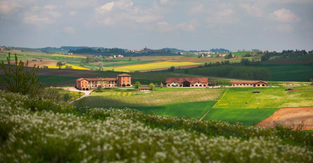 Photo of Others in Montemagno