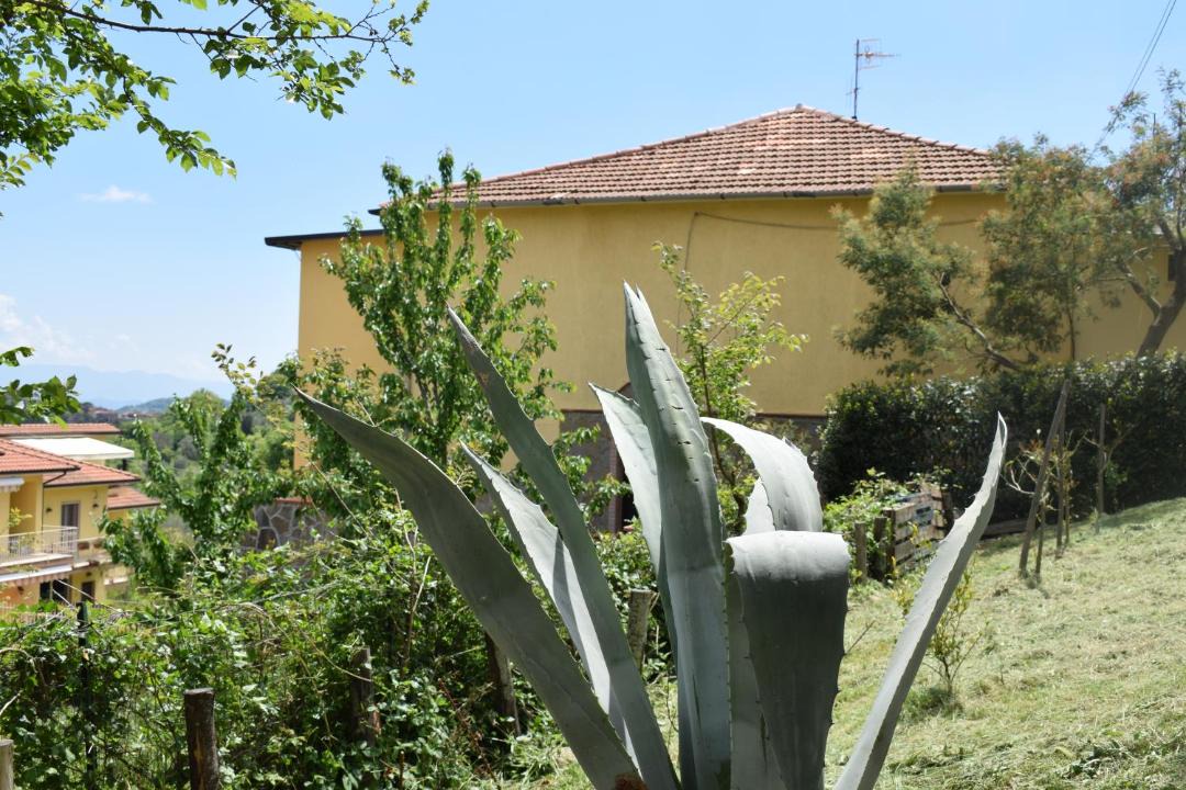 Photo of Others in Prignano Cilento