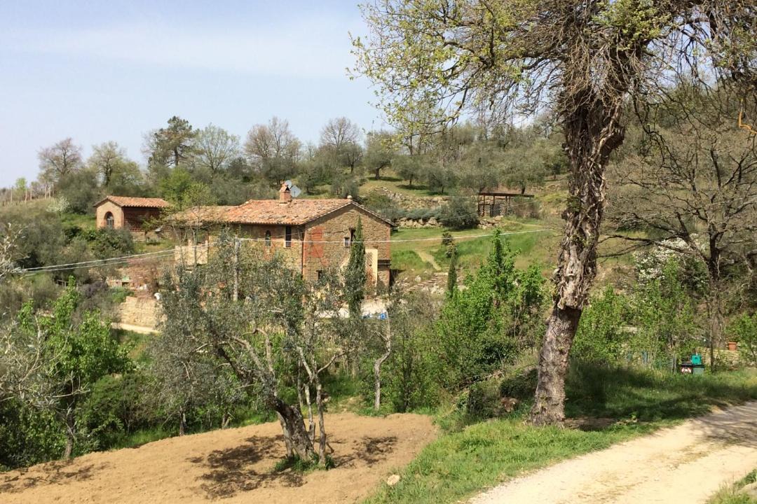 Photo of Others in Panicale