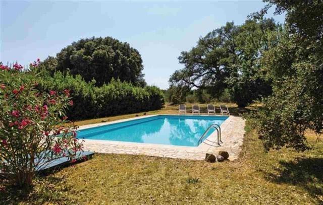 Photo of Outdoor in Roccastrada