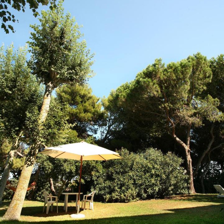Photo of Others in Giulianova