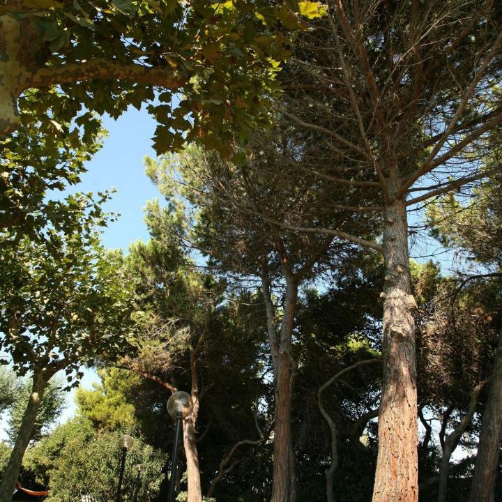 Photo of Others in Giulianova