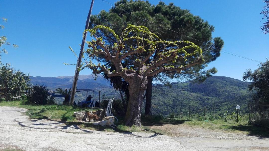 Photo of Others in Capaccio Scalo