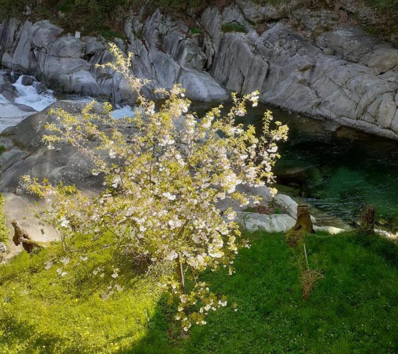 Photo of Others in San Paolo Cervo