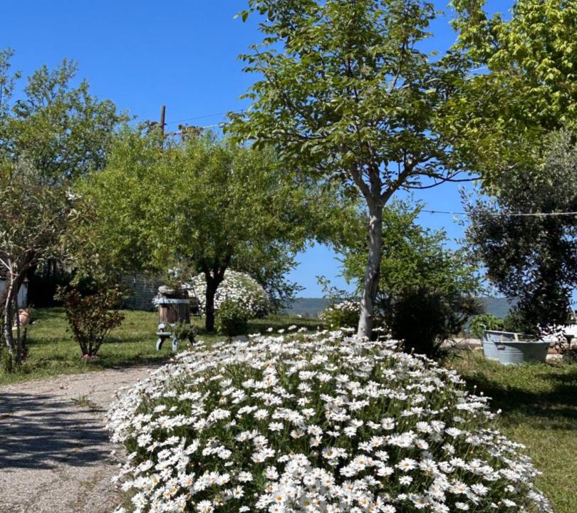 Photo of Others in Atessa