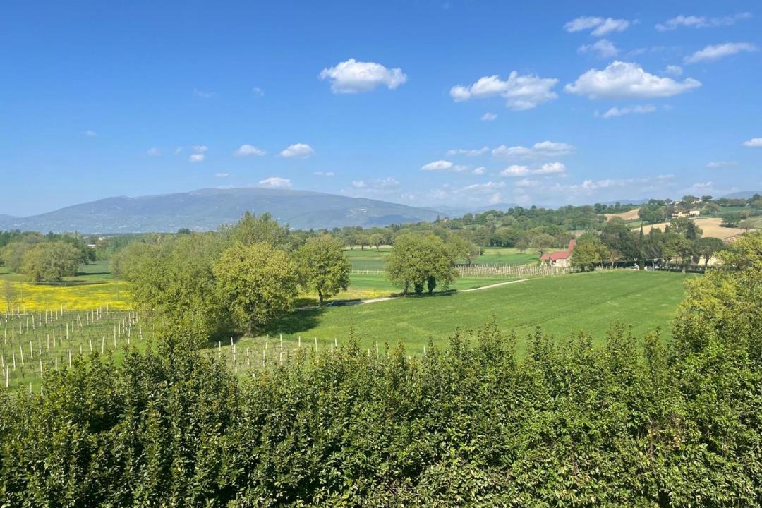 Photo of Others in Bevagna