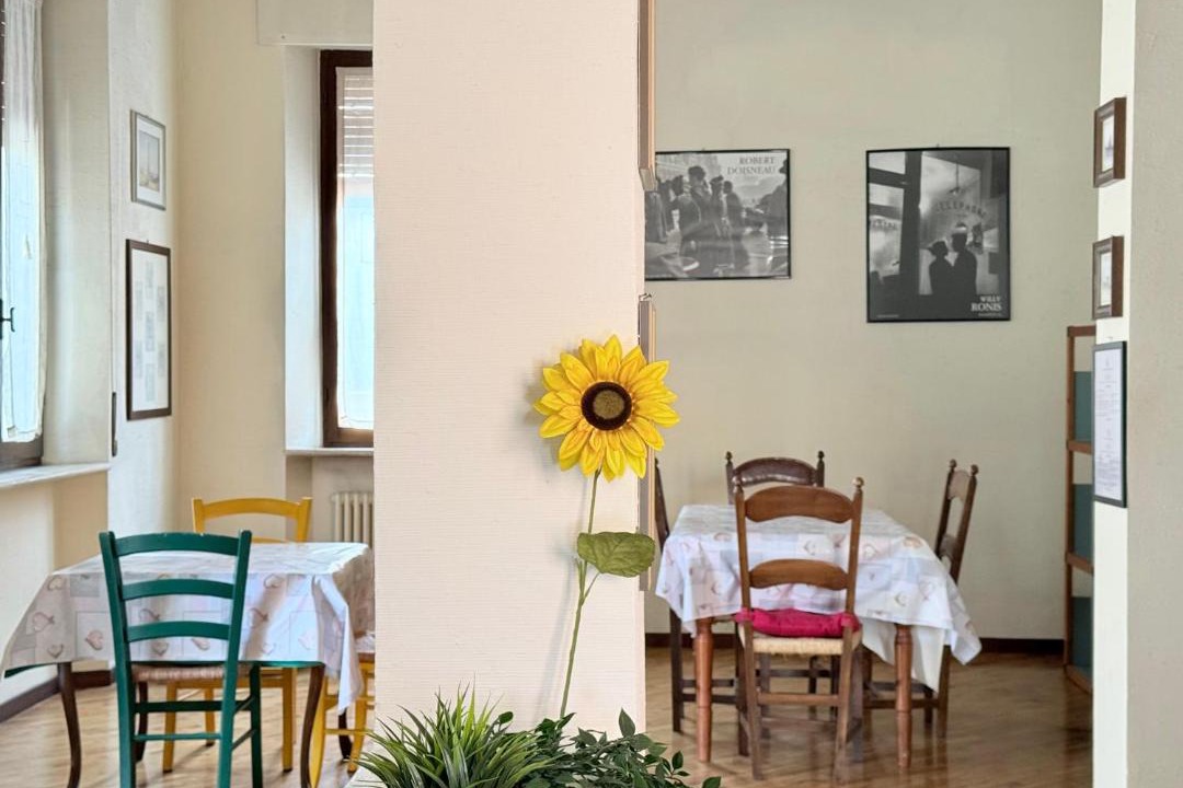 Photo of Others in Ancona