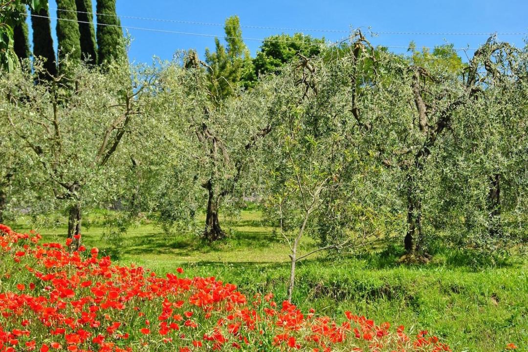 Photo of Others in Monteleone d'Orvieto