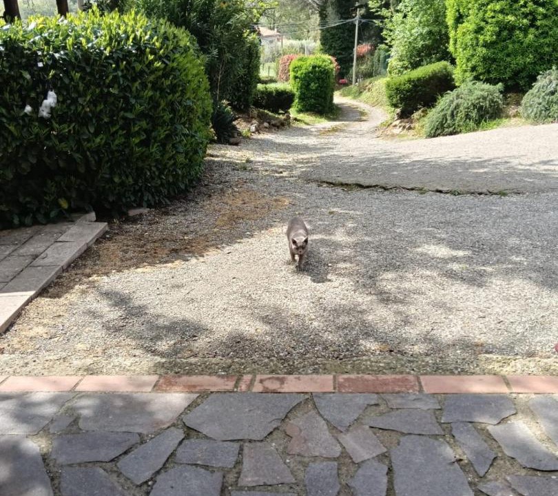 Photo of Others in Valle Castagneta