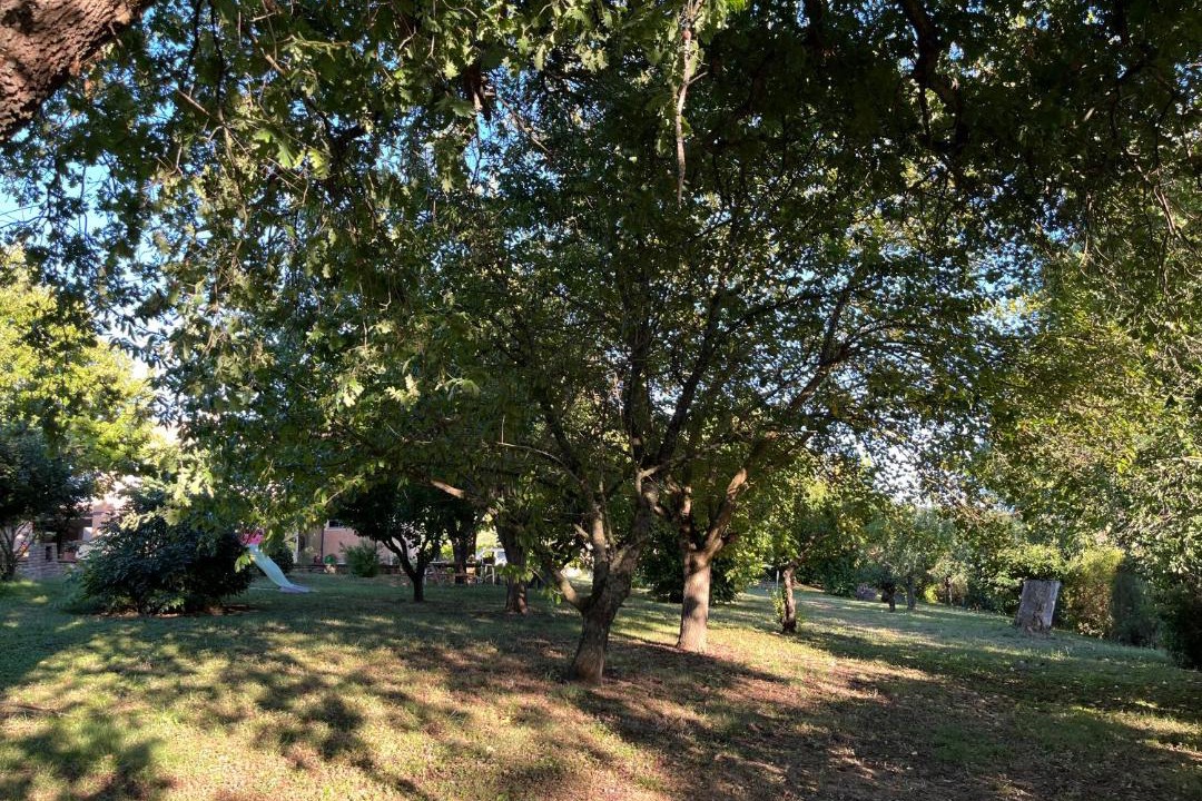 Photo of Others in Montelovesco
