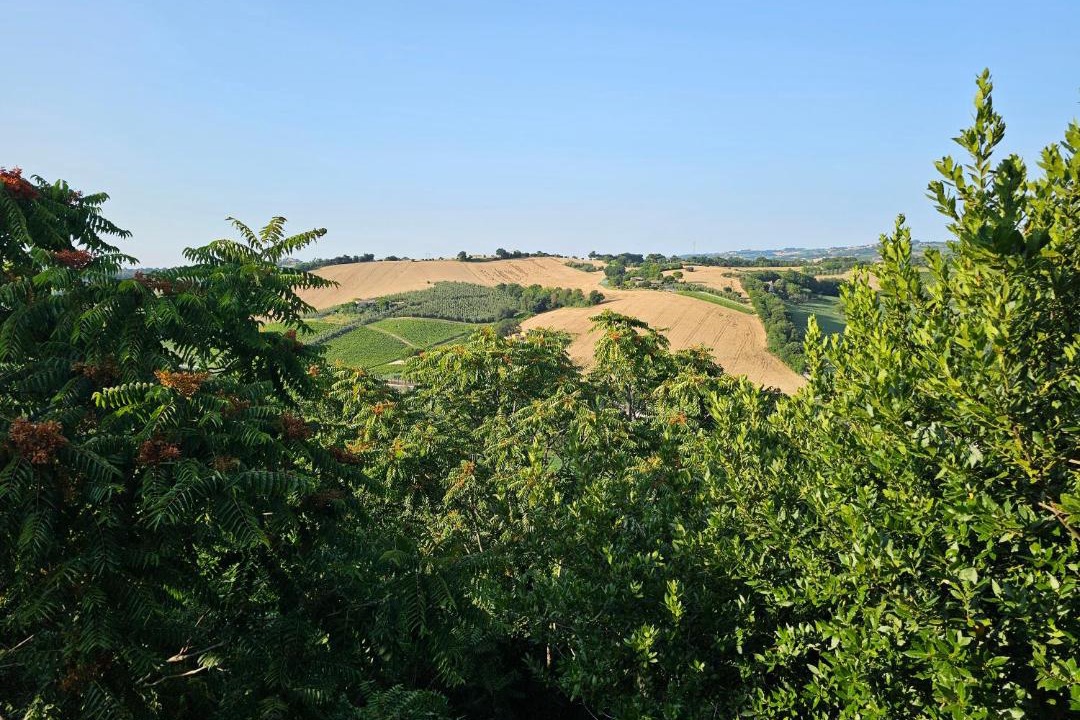 Photo of Others in Gallignano