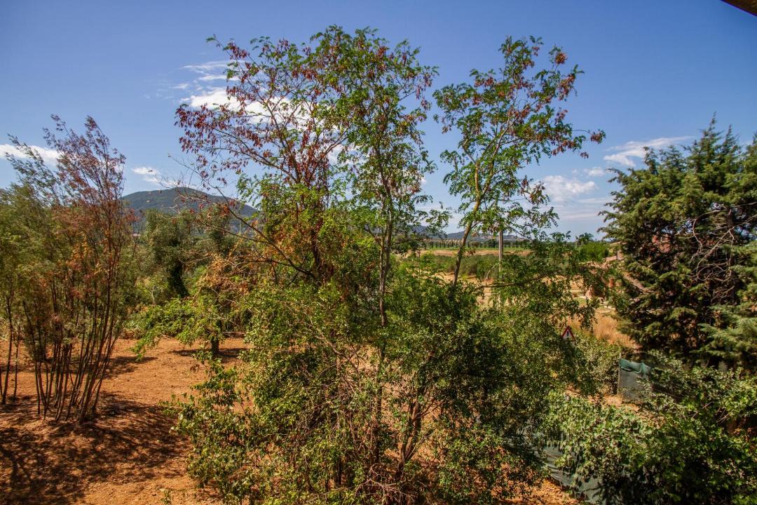 Photo of Others in Gavorrano