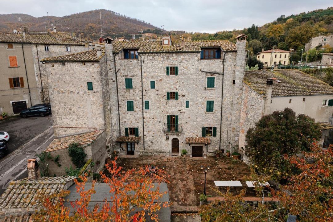 Photo of Others in Torniella
