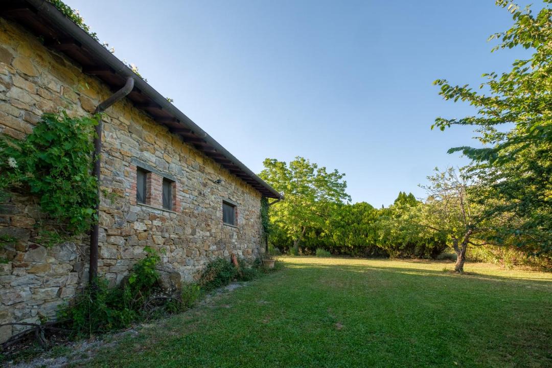 Photo of Others in Scansano