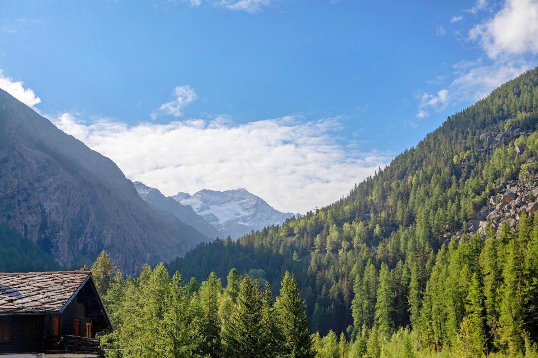 Photo of Others in Cogne